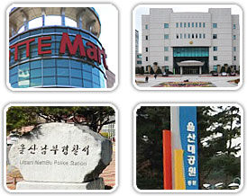 주변이미지